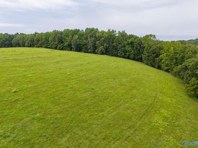 36.49 Elk River Mills Rd, Athens, AL, 35614