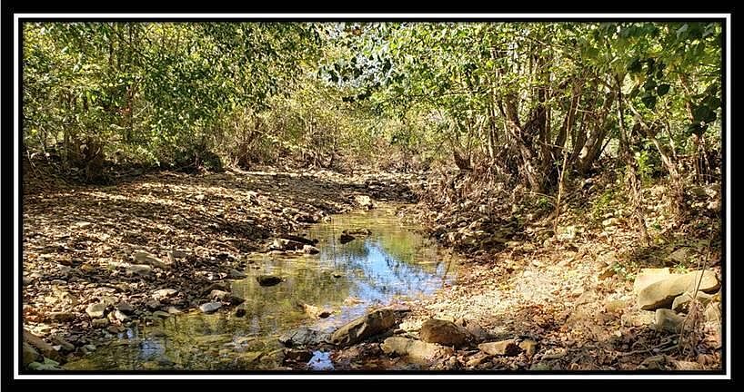1st image of 0 Skidmore Hollow Rd #5