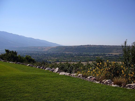 Backyard view