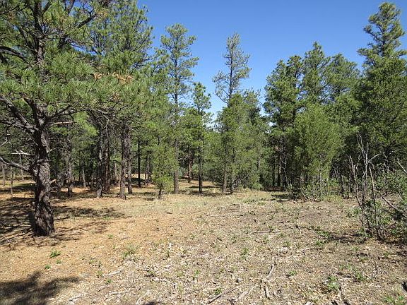 2nd image of 36515 Alpine Meadows Dr