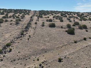 0 County Road 5150, Concho, AZ 85924