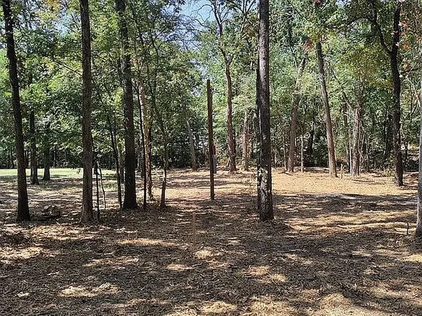 177 County Road 1687, Alba, TX 75410