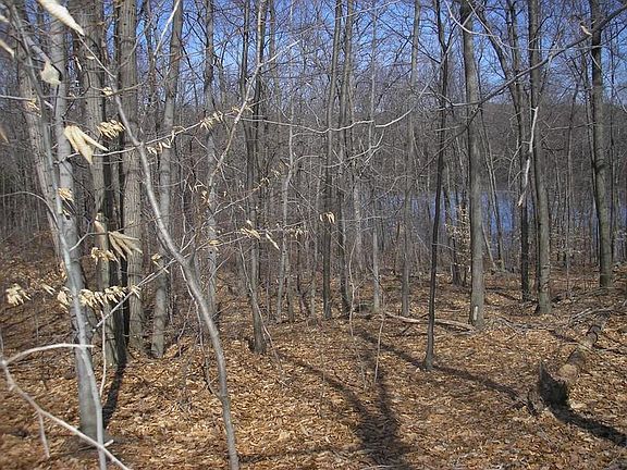 Chatham Lake