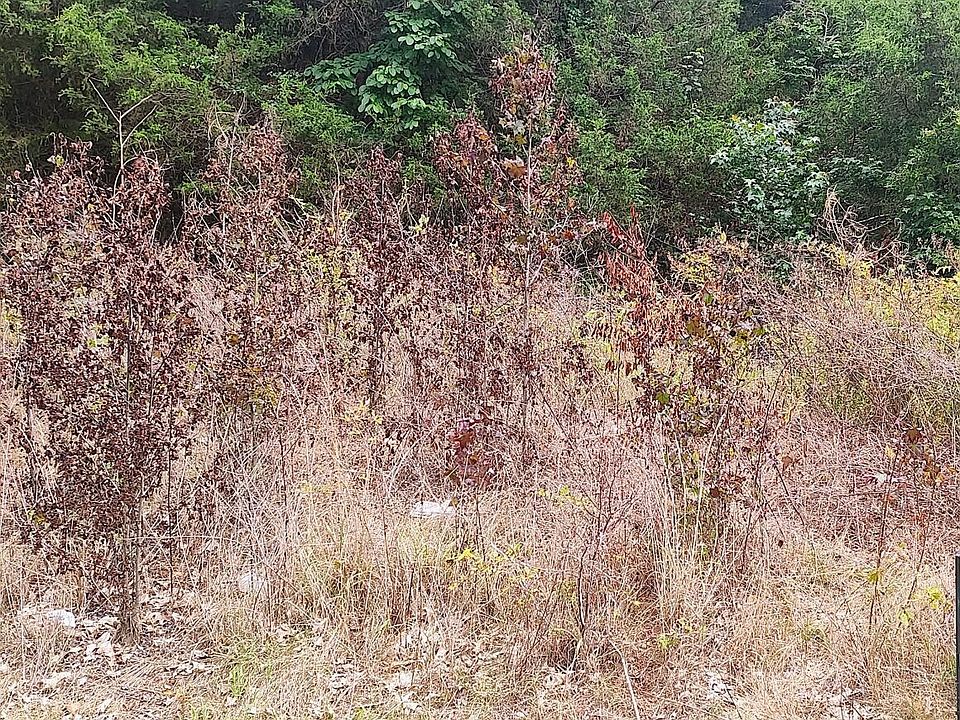 2nd image of 449 Saint John Rd