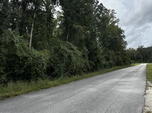 0 NE 303rd Ave, Old Town, FL 32680