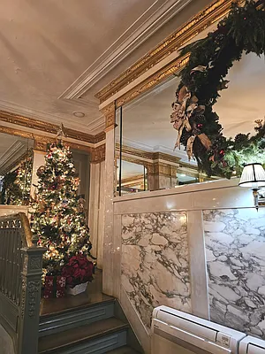 Rented by Kasin Management | media 47