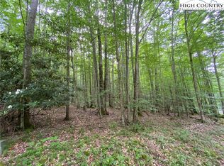 7 Buckeye Ridge Rd, Banner Elk, NC 28604