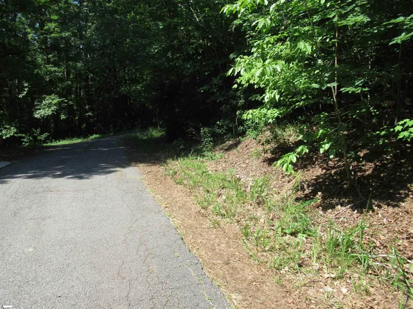 0 Gauley Falls Rd Lot 15, Pickens, SC 29671