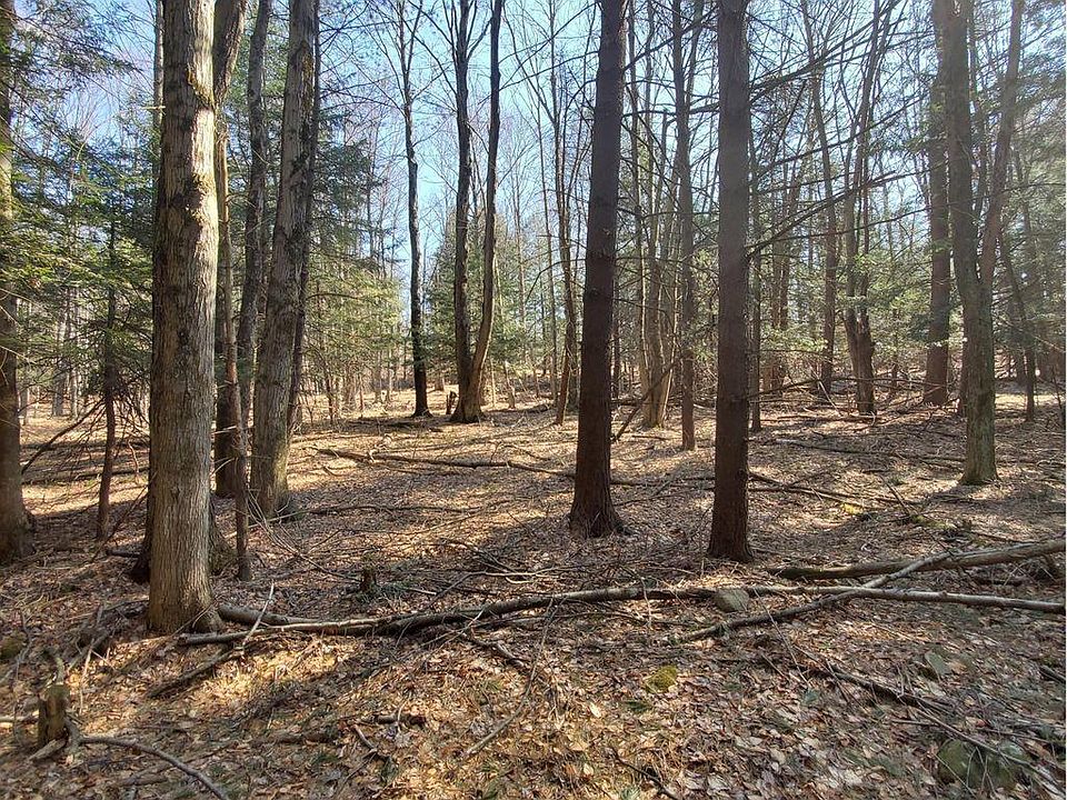 2nd image of 1982 Great Bend Tpke