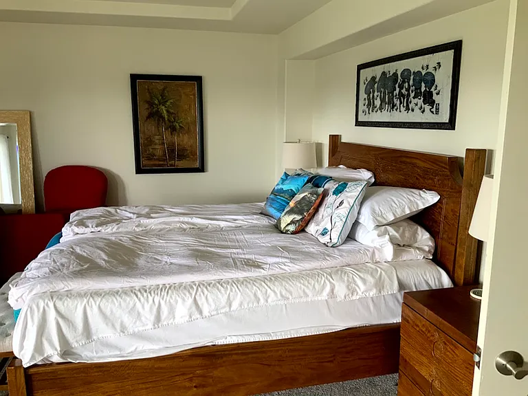 Primary suite #1