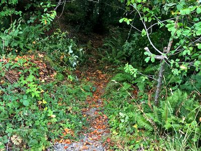 S Bank Chetco Rd, Brookings, OR, 97415