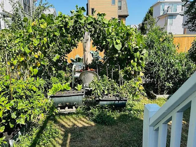 115 Auburn St #2 — Photo 11