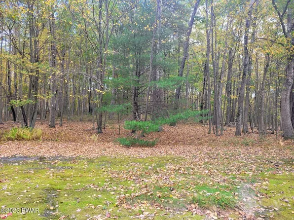 547 Sugar Loaf Ln, Tafton, PA 18464