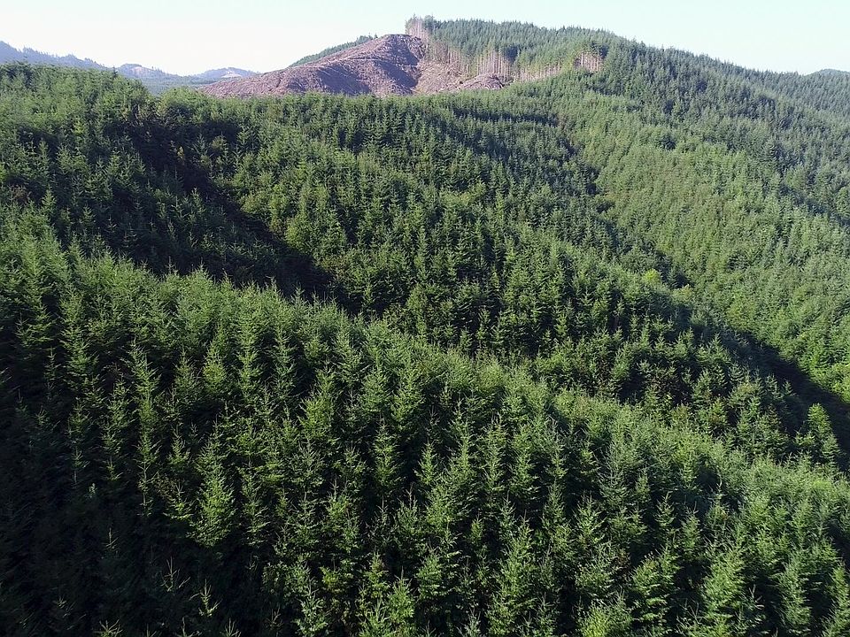 2nd image of S Sumner Rd
