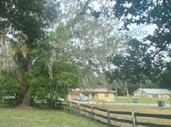 3rd image of 3743 Autumn Palm Dr