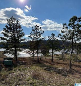 Lake Pointe Dr #308, Lincoln, AL, 35096