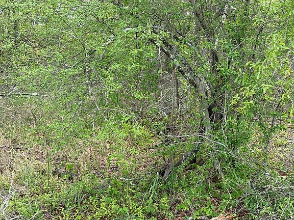 2nd image of 0 Charlie Kie Rd