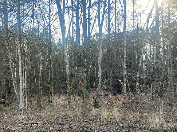 4th image of TRACT 1 County Road 450
