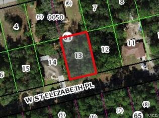 1391 W Saint Elizabeth Pl, Citrus Springs, FL 34434
