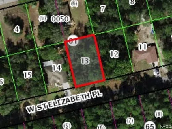 1391 W Saint Elizabeth Pl, Citrus Springs, FL 34434