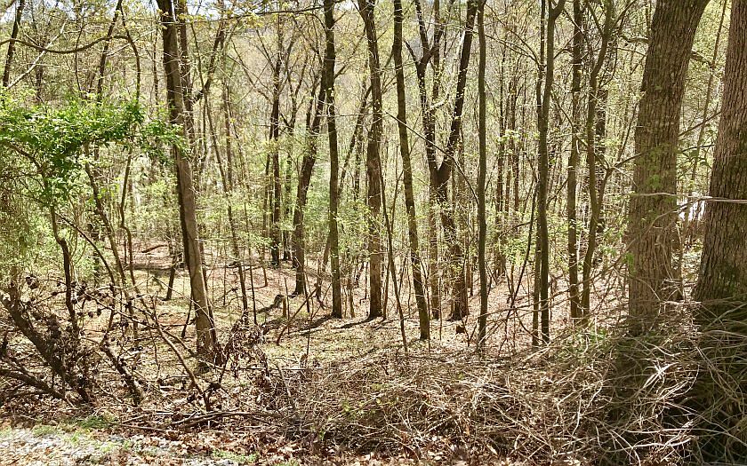 2nd image of 370 Summit Ln