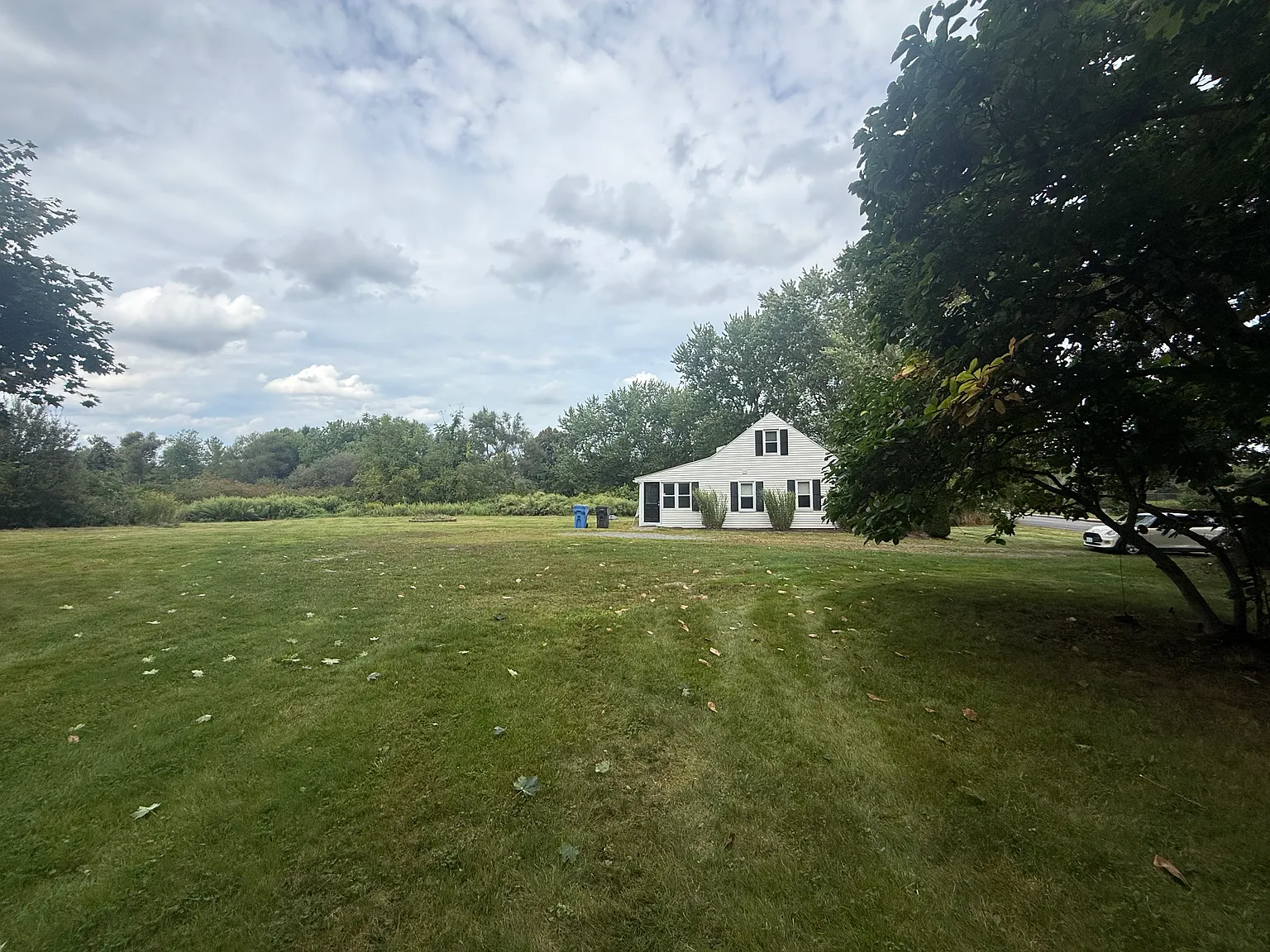 3 bed, 1500 sqft, $3,250 — Photo 2