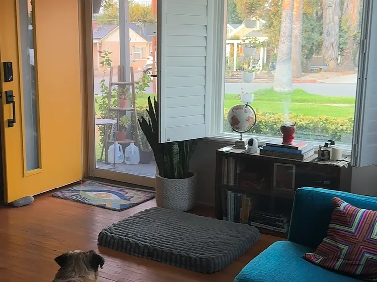 Front door + Security Screen Door