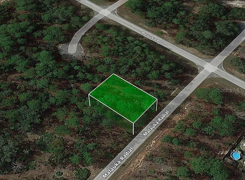 1st image of MALALUKA RADIAL LOT 23