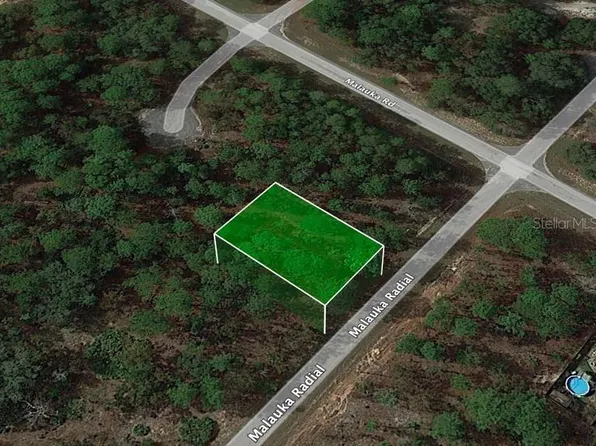 Malaluka Radl Lot 23, Ocklawaha, FL 32179