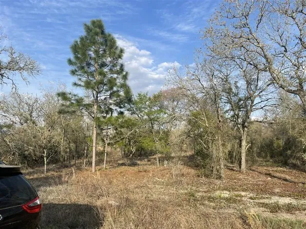 LOT 33 SW Portulaca Ct Lot 33, Dunnellon, FL 34431