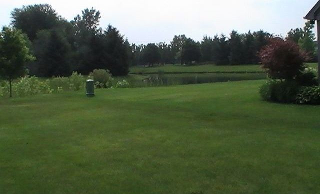view from rear deck