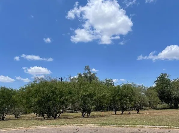 0 Bamboo Palm Ct N, Harlingen, TX 78552