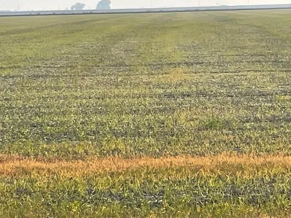 21999 W Manning, San Joaquin, CA 93660