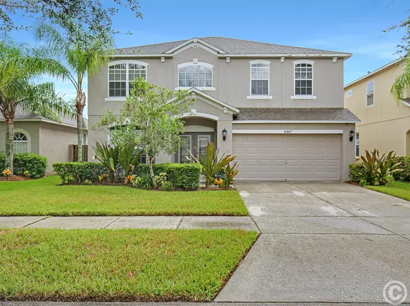11447 Dutch Iris Dr, Riverview, FL 33578