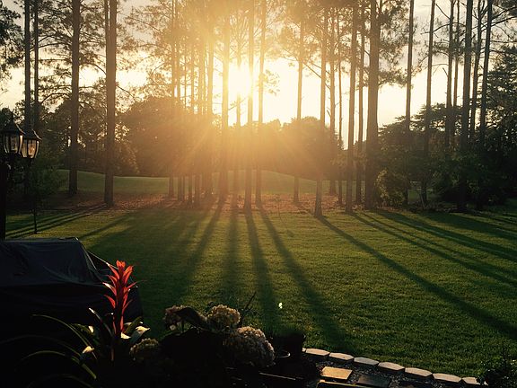 Gorgeous Golf Crs View