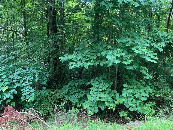 5th image of L-116 Lakeview Dr