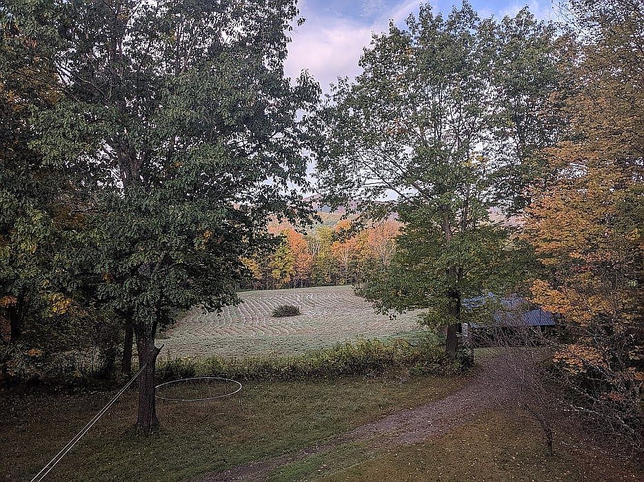autumn