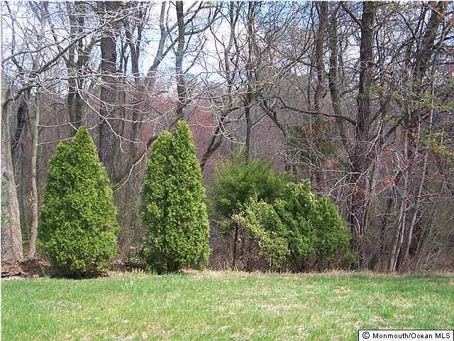 2nd image of 14 Twyford Lane