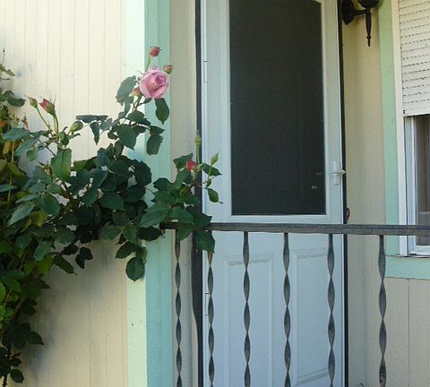 4th image of 1818 75th St E #25