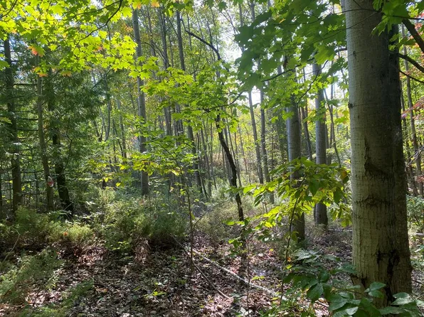 Birch Field Ln, Ellison Bay, WI 54210