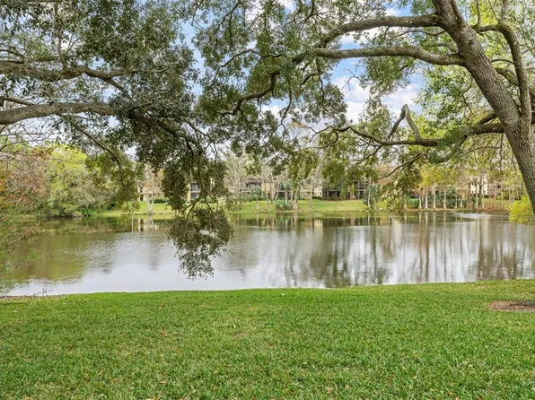 11859 Skylake Pl, Temple Terrace, FL 33617