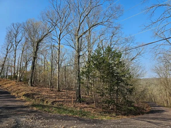 1081 Forest Ct, Lake Sherwood, MO 63357