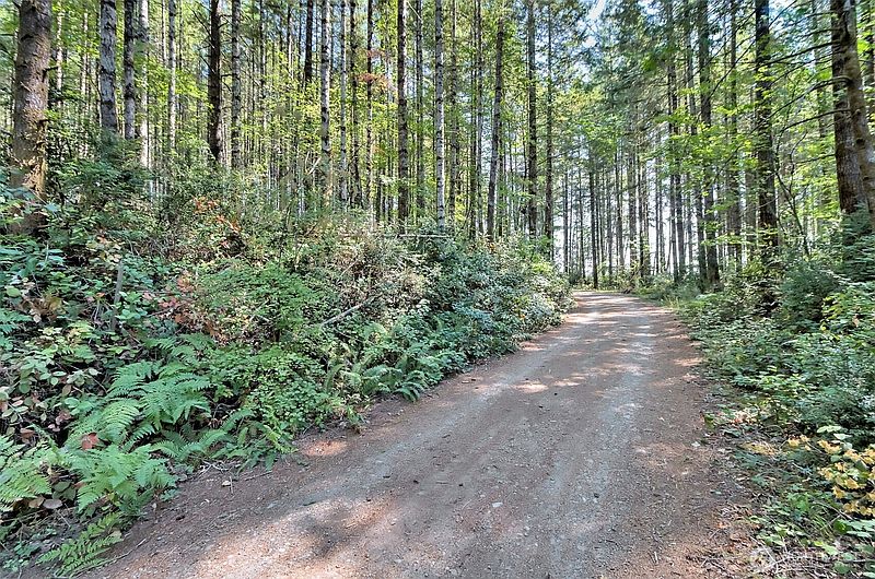 3rd image of 0 Tahuya Valley Drive E