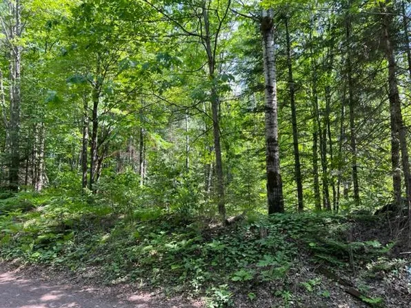 LOT W Oestreich Rd #F, Mercer, WI 54547