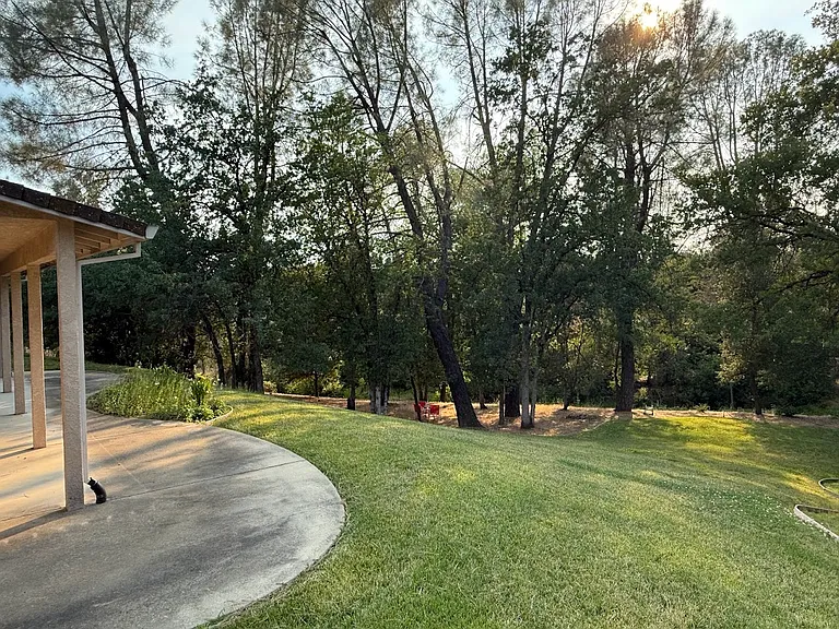 11592 Fox Estates Ct — Photo 9