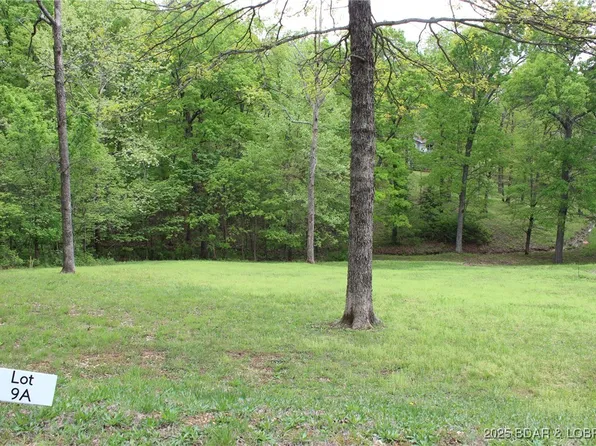 LOT 9A Pinkie Ln, Gravois Mills, MO 65037