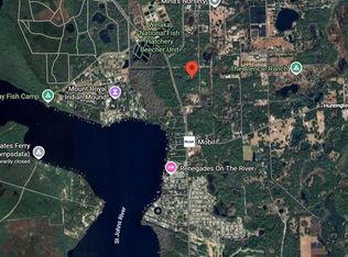 175 Oak Run Rd, Crescent City, FL 32112