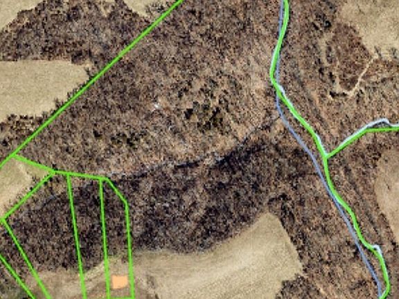 3rd image of 2536 Westborne Dr