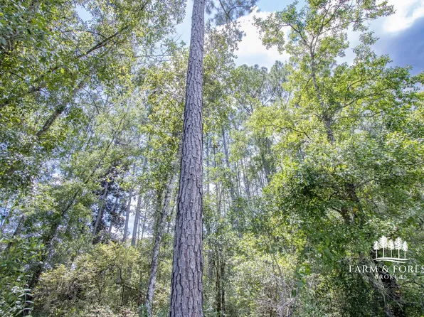 Xx1 Northeast Cres #67, Hosford, FL 32334