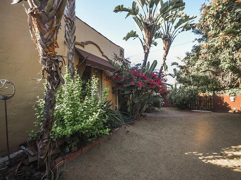 Front yard